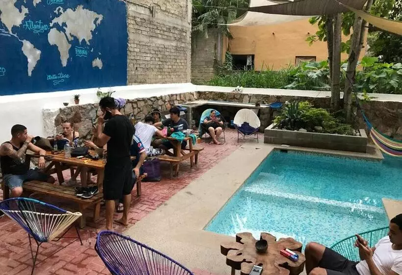 ユースホステル Hostal Tortuga