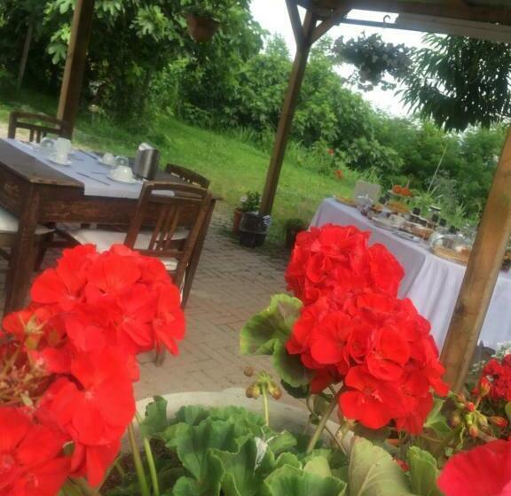 B&b La Villarella Dei Tulipani