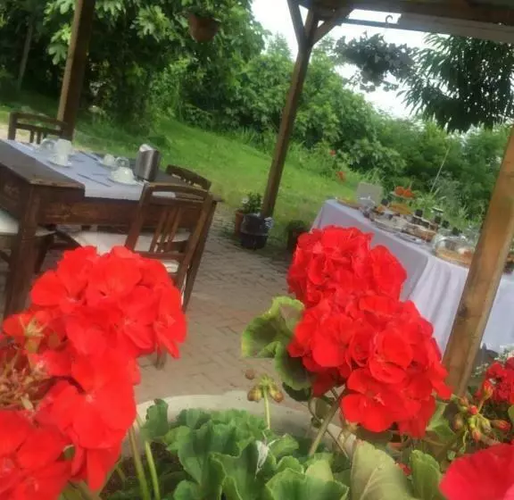 B&b La Villarella Dei Tulipani