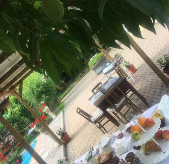 B&b La Villarella Dei Tulipani