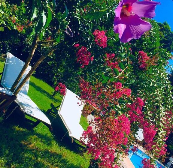 B&b La Villarella Dei Tulipani