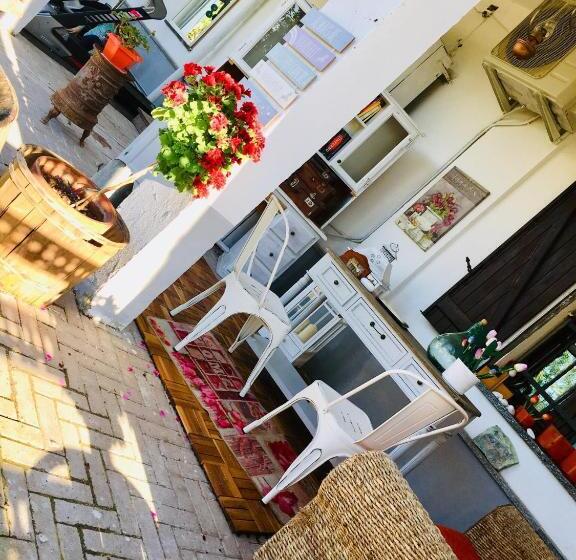 B&b La Villarella Dei Tulipani