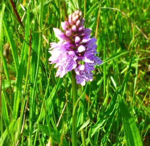 Aamiaismajoitus (B&B) Hay On Hye Retreat