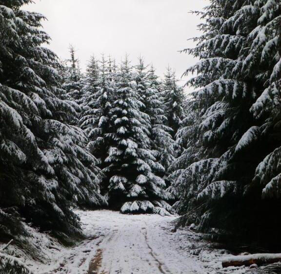 Aamiaismajoitus (B&B) Hay On Hye Retreat