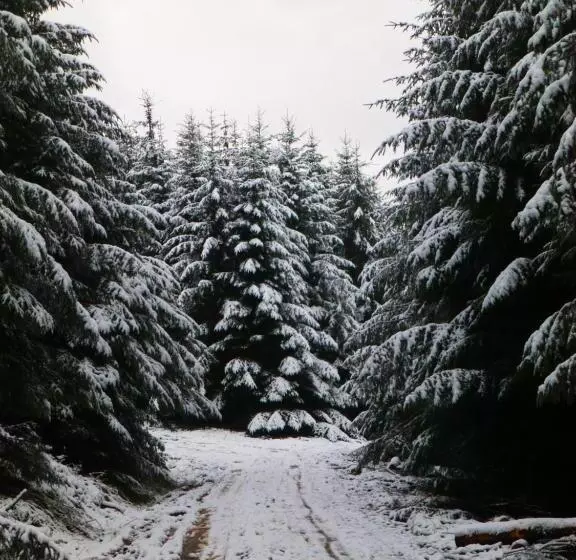 Aamiaismajoitus (B&B) Hay On Hye Retreat