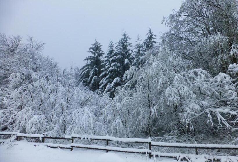 Aamiaismajoitus (B&B) Hay On Hye Retreat