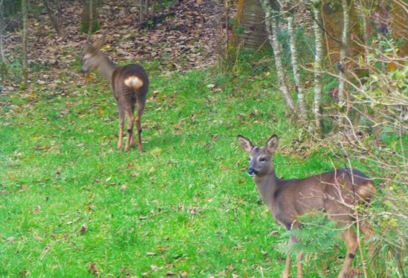 Aamiaismajoitus (B&B) Hay On Hye Retreat