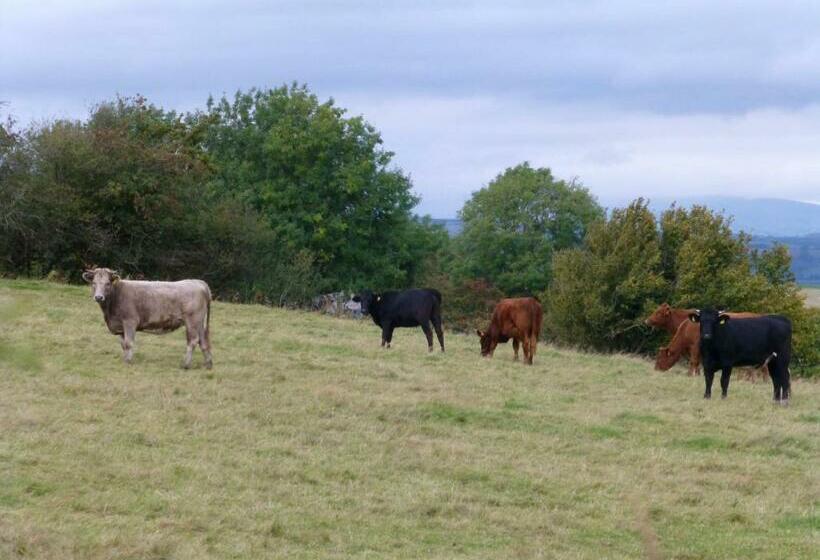 Aamiaismajoitus (B&B) Hay On Hye Retreat
