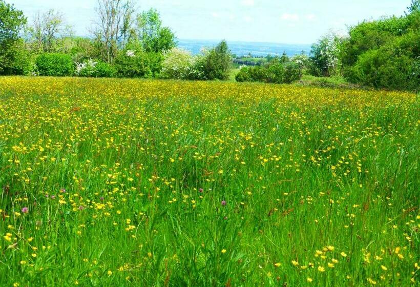 Aamiaismajoitus (B&B) Hay On Hye Retreat
