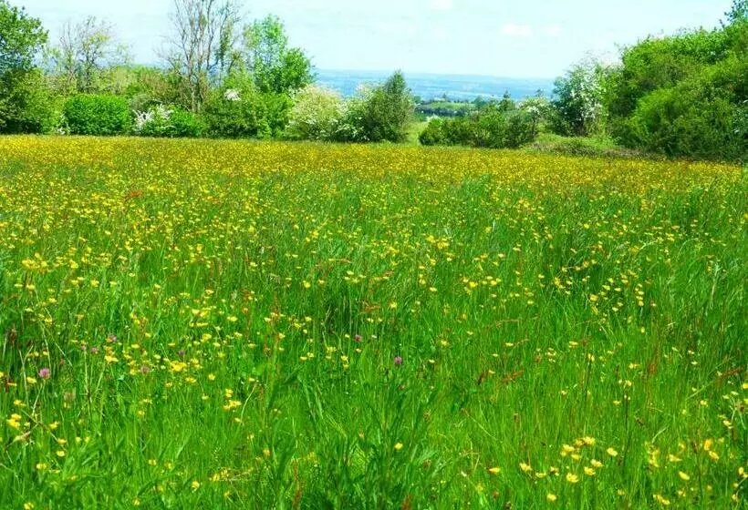 Aamiaismajoitus (B&B) Hay On Hye Retreat