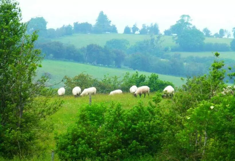 Aamiaismajoitus (B&B) Hay On Hye Retreat