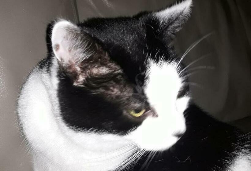 مبيت وإفطار Kamer + Douche In Villa