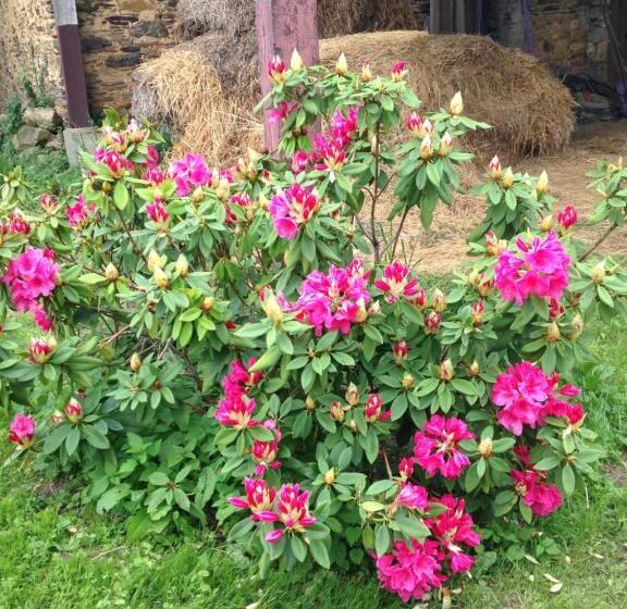 צימר La Moulinière, Jolie Longère Du Xviiè