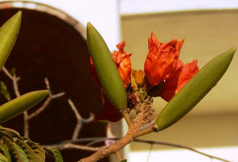 فندق Villa Los Corales