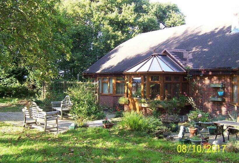 Jonti Bed And Breakfast