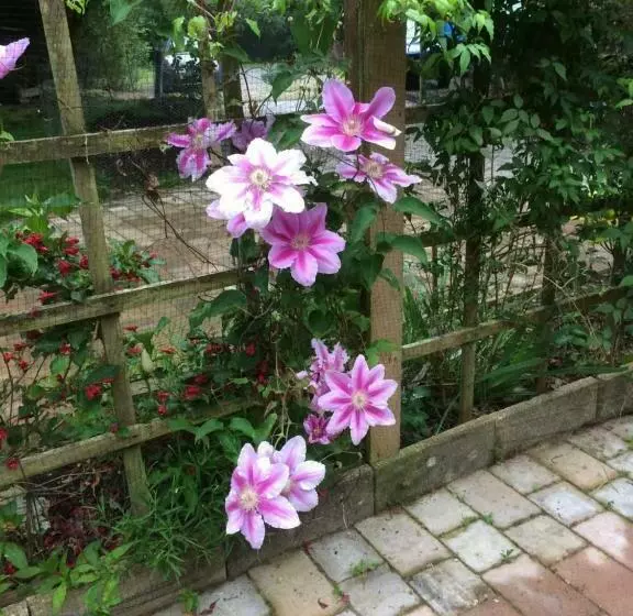 Jonti Bed And Breakfast