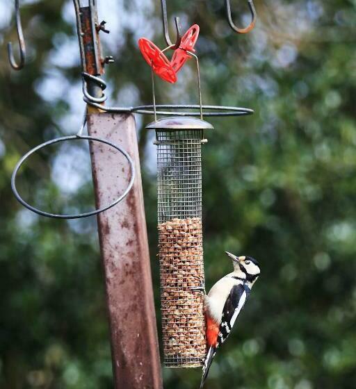 Jonti Bed And Breakfast