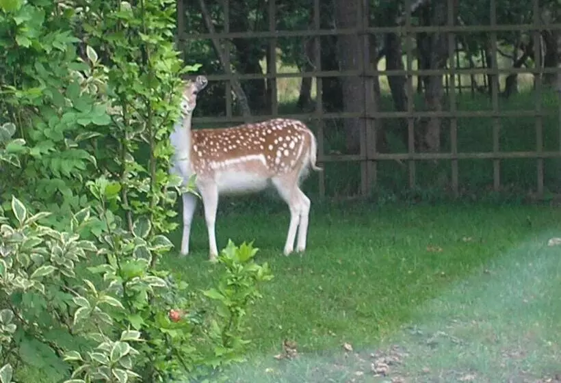 Jonti Bed And Breakfast