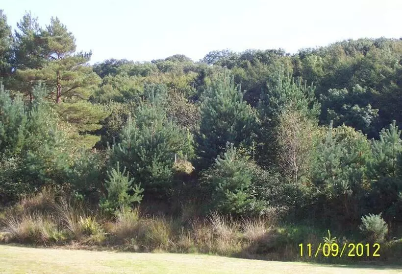 Jonti Bed And Breakfast