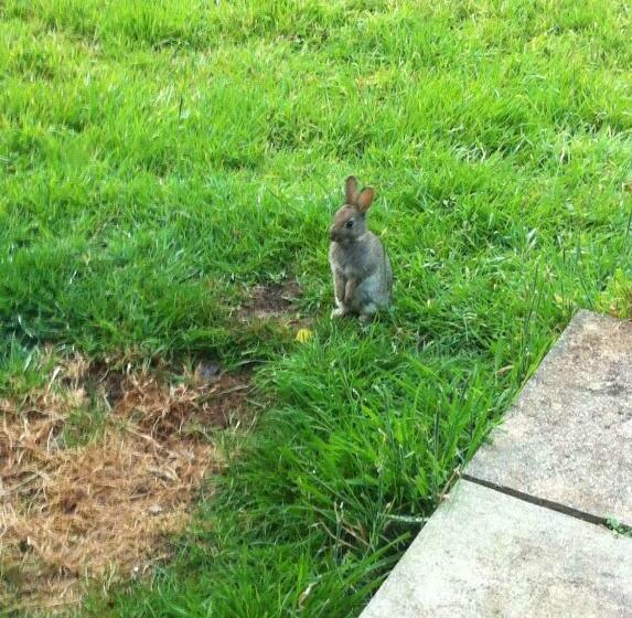 Jonti Bed And Breakfast