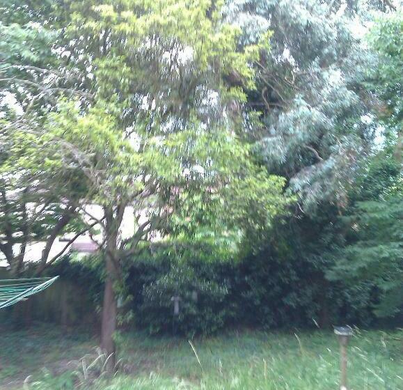 بنسيون Hill Crescent