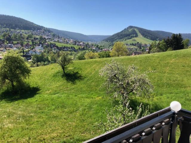 Pension Haus Sommerberg