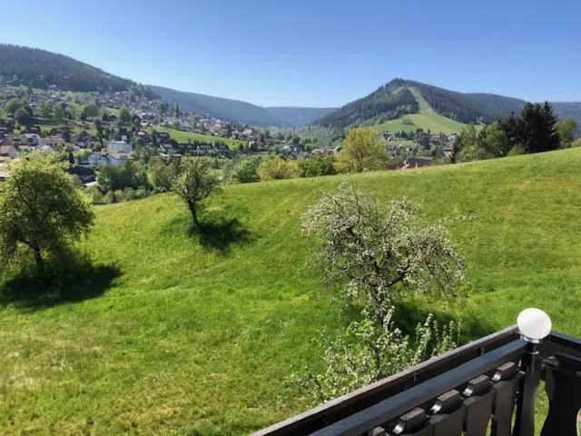 Pension Haus Sommerberg