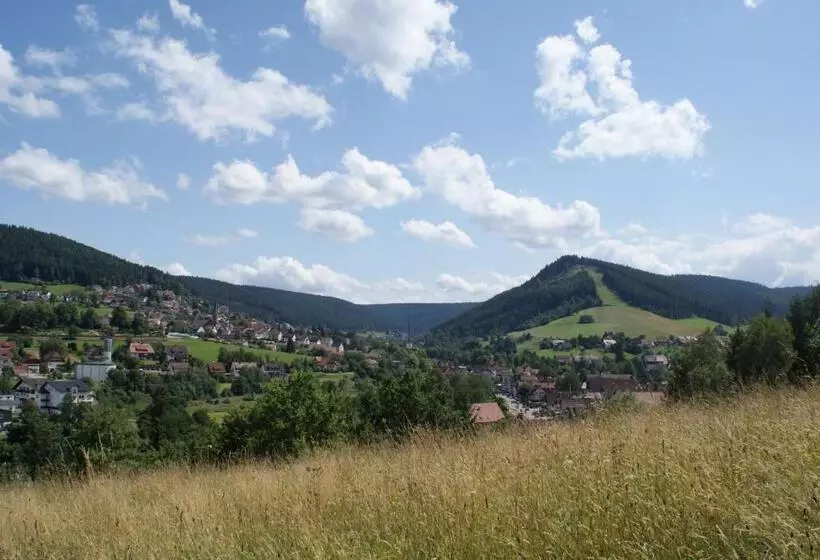 Pension Haus Sommerberg