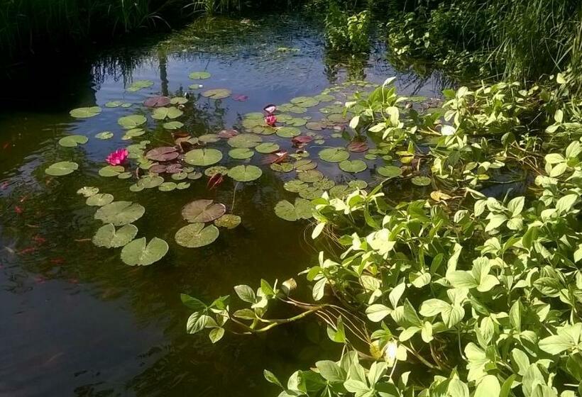 Bed and Breakfast Achter