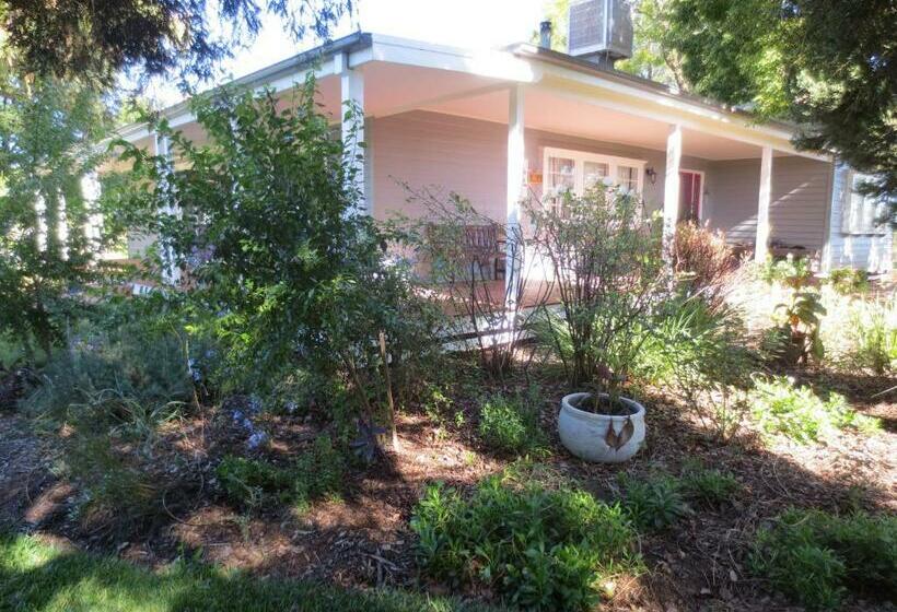 בית מלון כפרי 3107 Estate