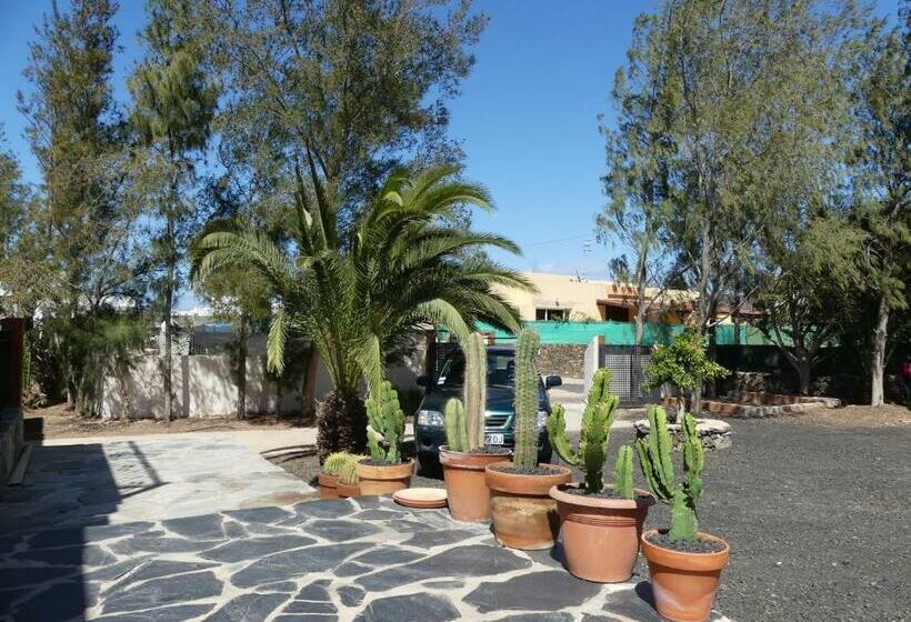 پانسیون Warung