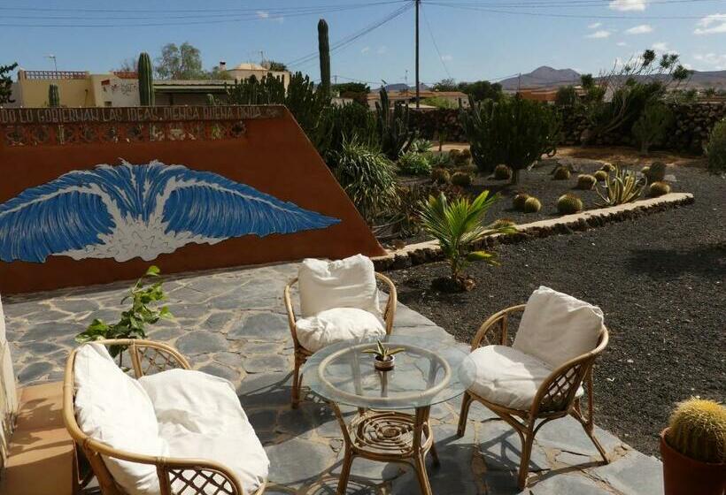 پانسیون Warung