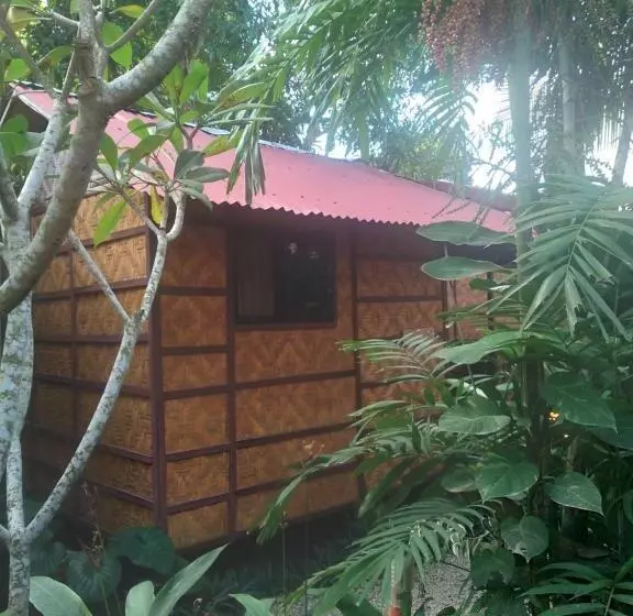ユースホステル Adrianas Place Backpackers Panglao