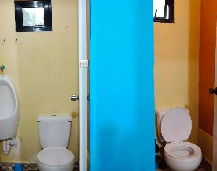 ユースホステル Adrianas Place Backpackers Panglao