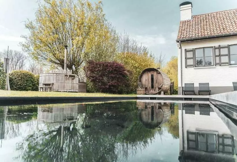 B&b Extra Verte