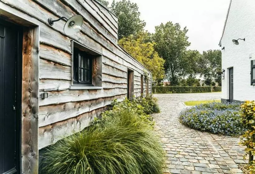 B&b Extra Verte