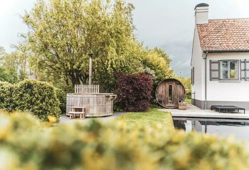 B&b Extra Verte