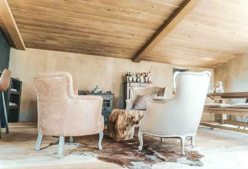 B&b Extra Verte