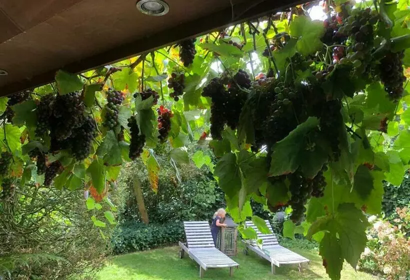 Beaux Temps B&b