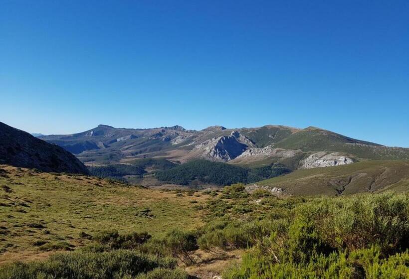 مبيت وإفطار The Templars Guesthouse