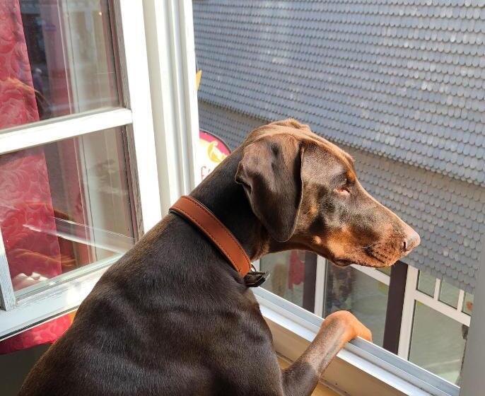 בית מלון כפרי Haus Oberscholtes