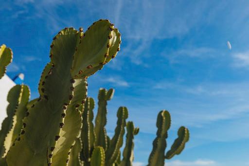 Отель L Air De La Mer