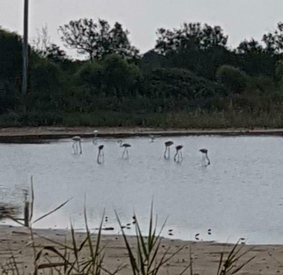 پانسیون Villa Giorgia