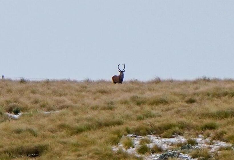 민박 Little Red School House