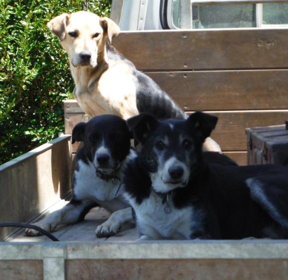민박 Little Red School House