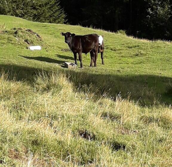 민박 Little Red School House