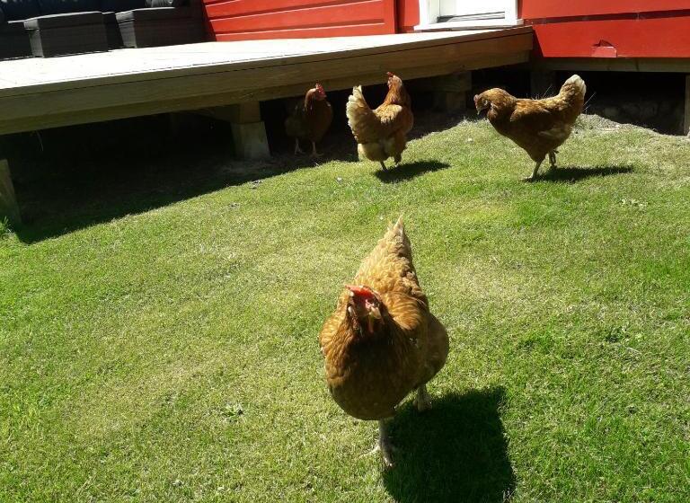 민박 Little Red School House