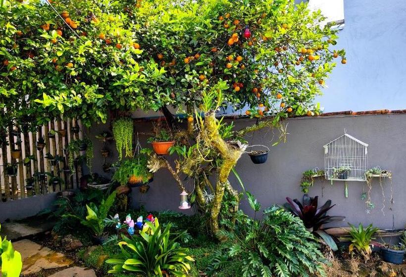 Bed and Breakfast Pousada Nascente Do São Francisco