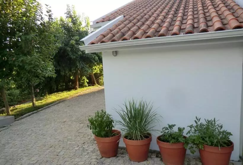 Aamiaismajoitus (B&B) Vianashome