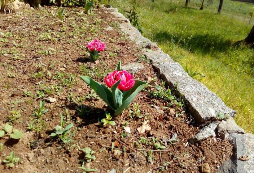 تختخواب و صبحانه Vianashome